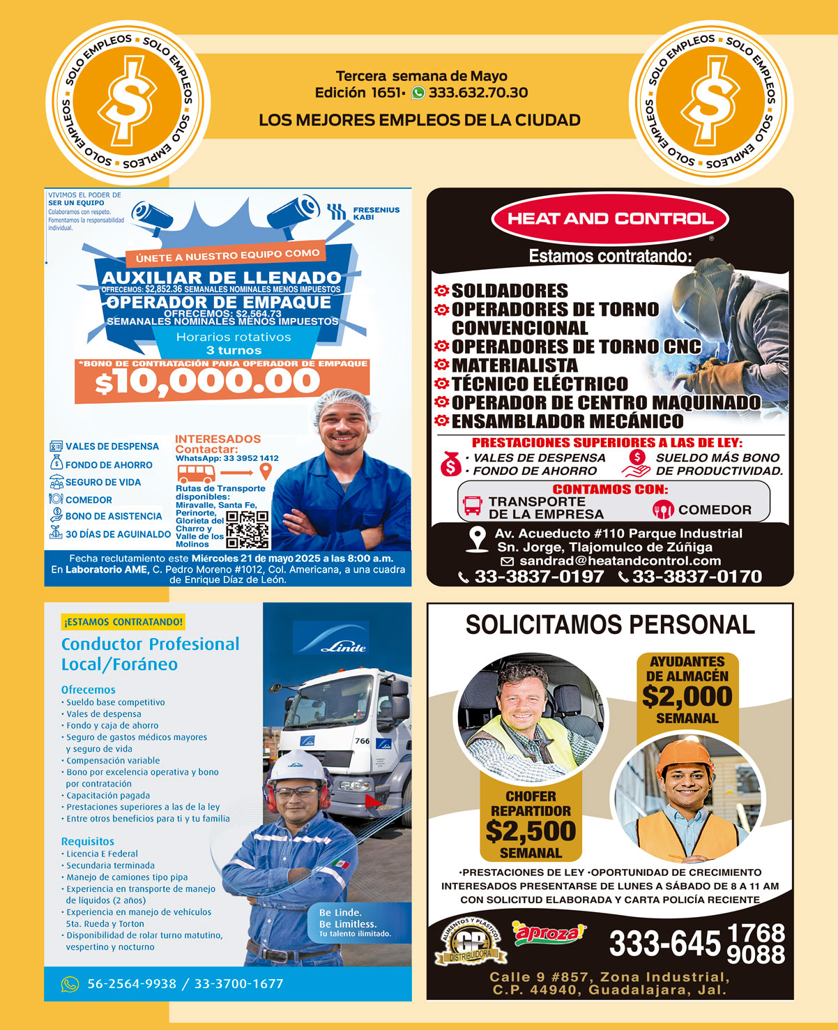 Periodico Solo Empleos